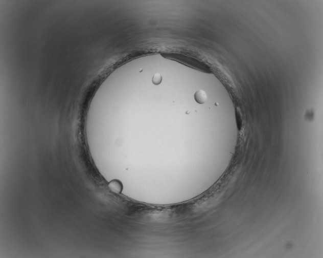 X0000116790306201001081319