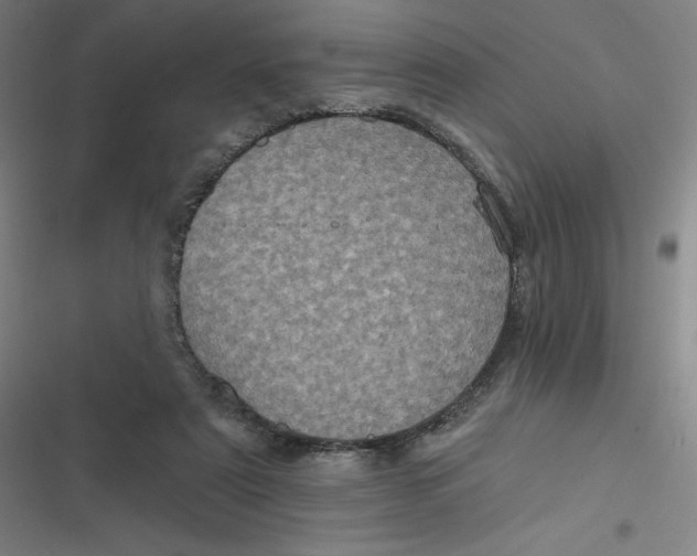 X0000116790307201001081319