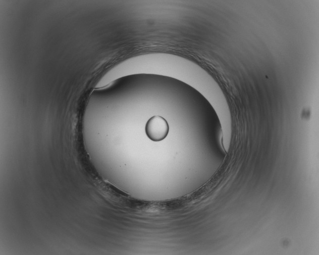 X0000116790308201001081319