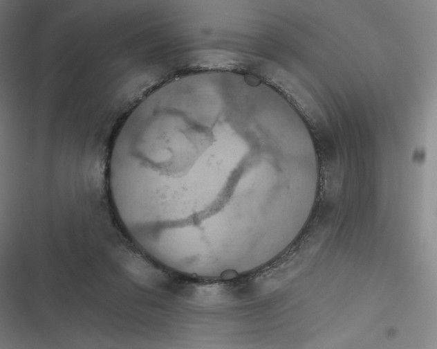 X0000116790309201001081319