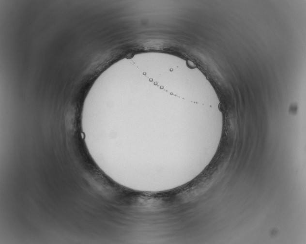 X0000116790311201001081319