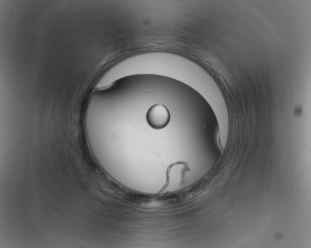 X0000116790312201001081319