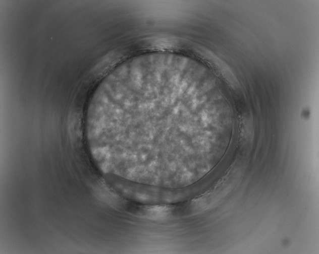 X0000116790313201001081319