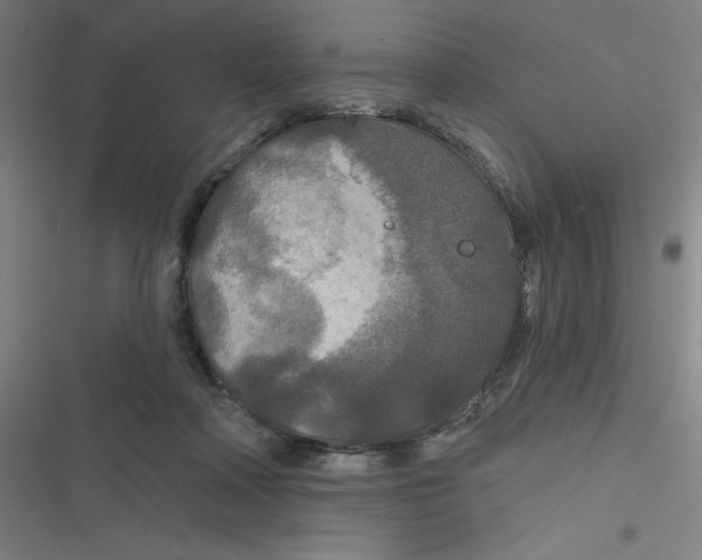 X0000116790314201001081319