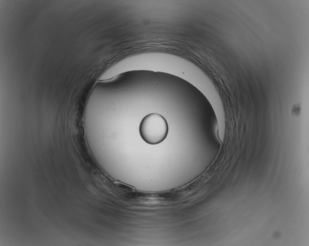 X0000116790316201001081319