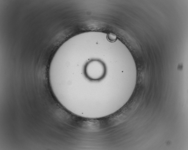 X0000116790317201001081319