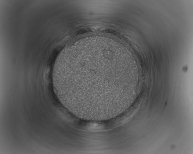 X0000116790319201001081319