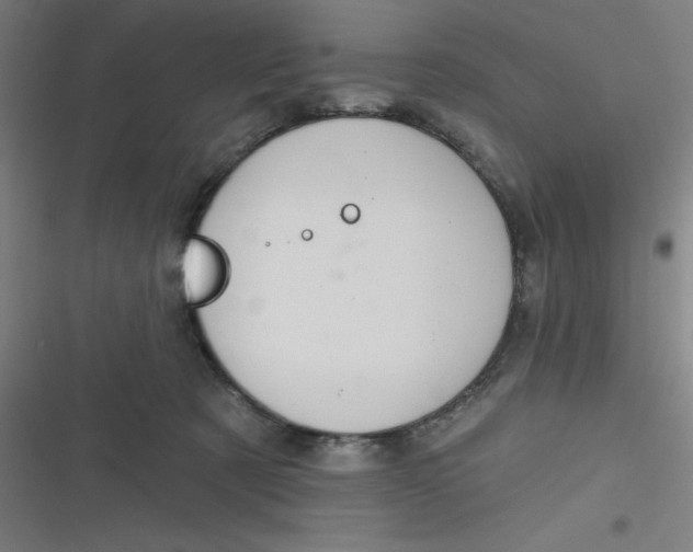 X0000116790321201001081319