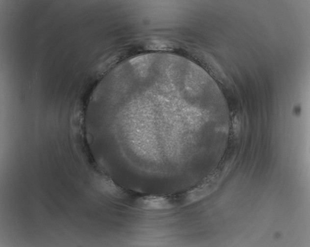 X0000116790322201001081319