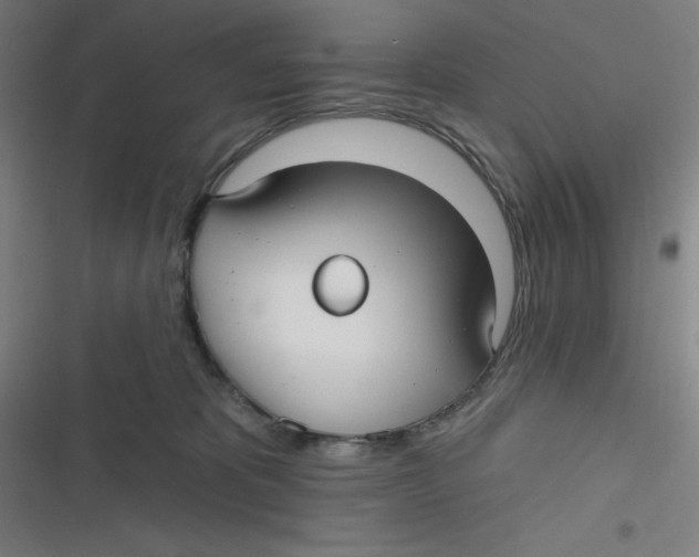 X0000116790325201001081319