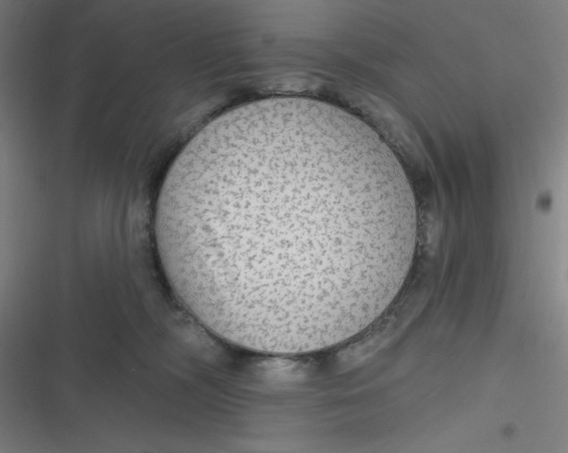 X0000116790326201001081319