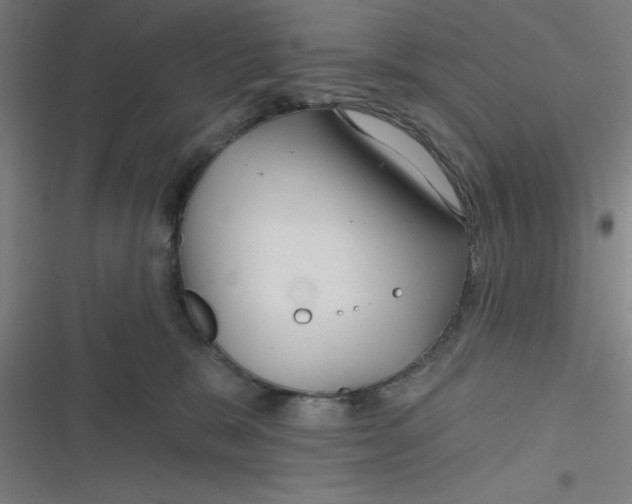 X0000116790327201001081319