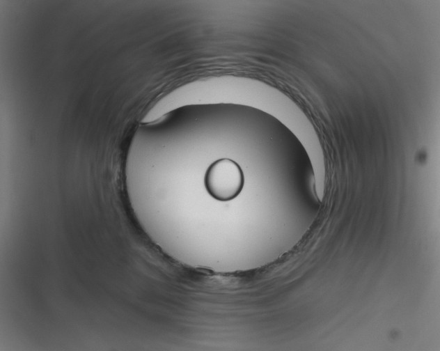 X0000116790328201001081319