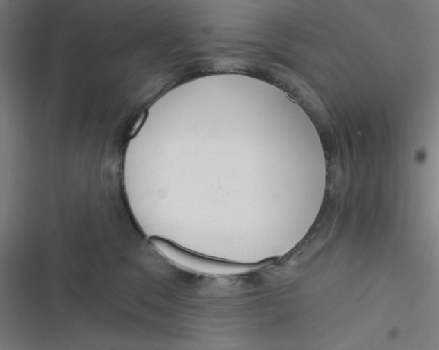 X0000116790329201001081319