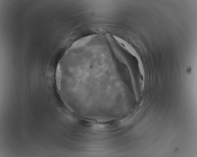 X0000116790332201001081319