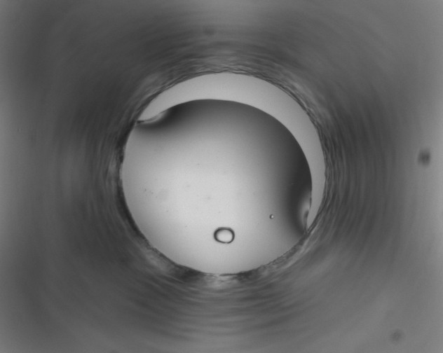 X0000116790333201001081319