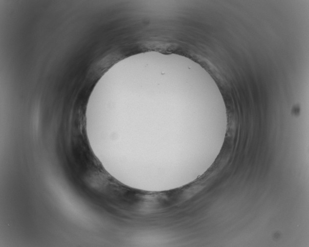 X0000116790334201001081319