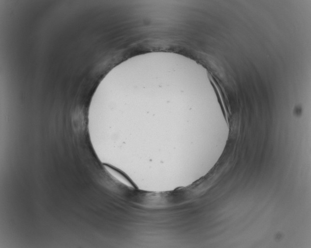 X0000116790335201001081319