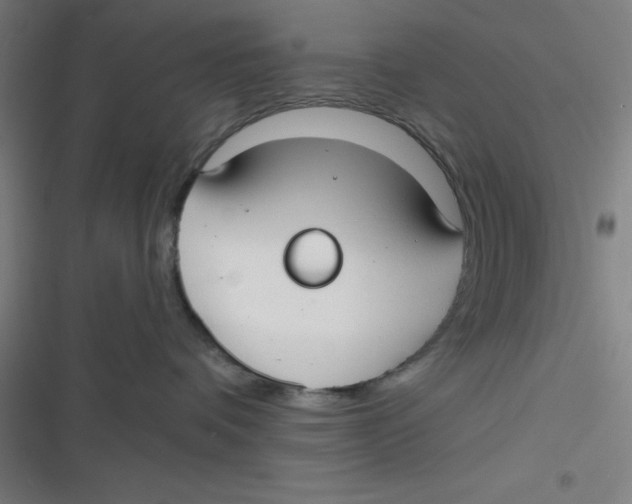 X0000116790336201001081319