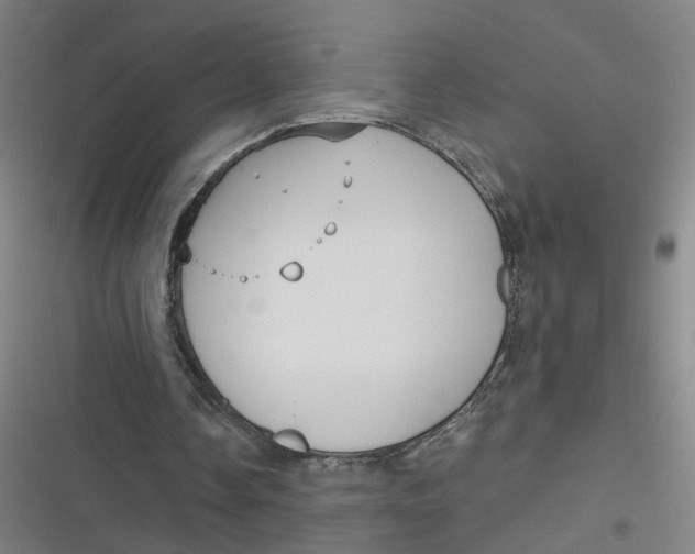 X0000116790338201001081318