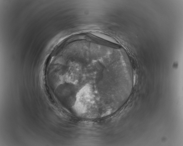 X0000116790339201001081318