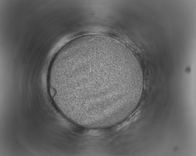 X0000116790341201001081318