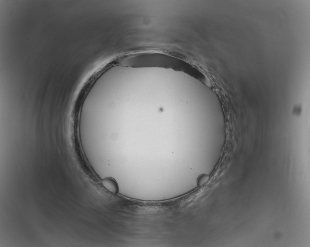 X0000116790342201001081318