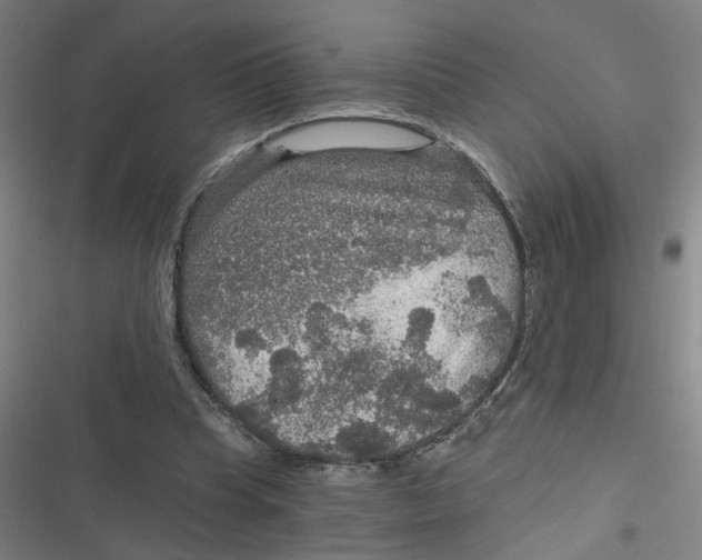 X0000116790345201001081318