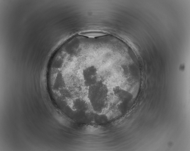 X0000116790346201001081318