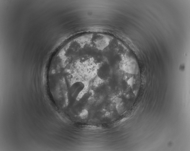 X0000116790347201001081318