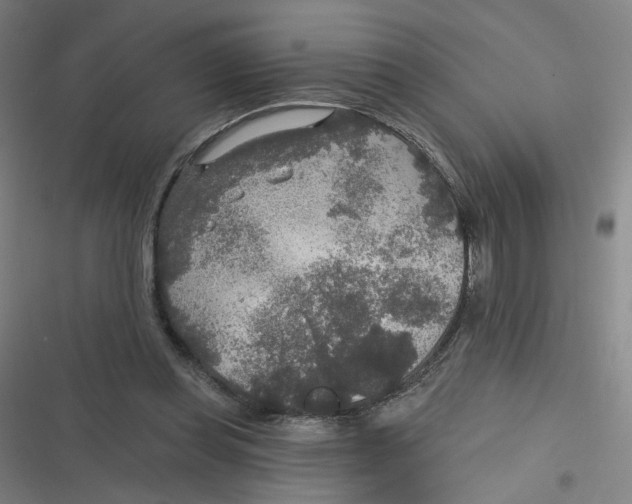 X0000116790349201001081318