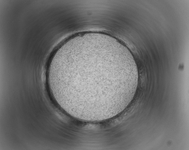 X0000116790350201001081318