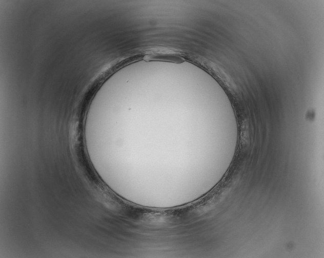 X0000116790351201001081318