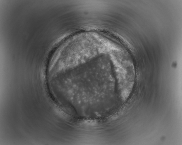 X0000116790353201001081318