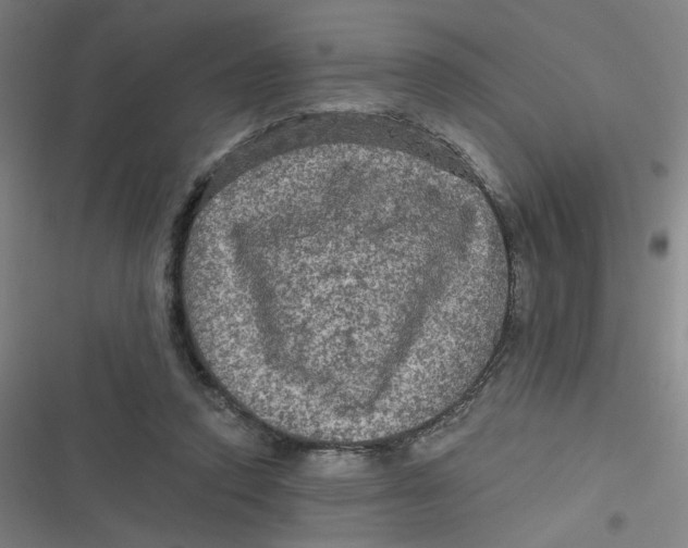 X0000116790354201001081318