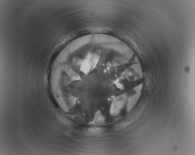 X0000116790357201001081318