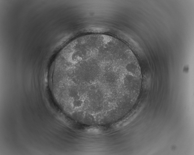 X0000116790358201001081318