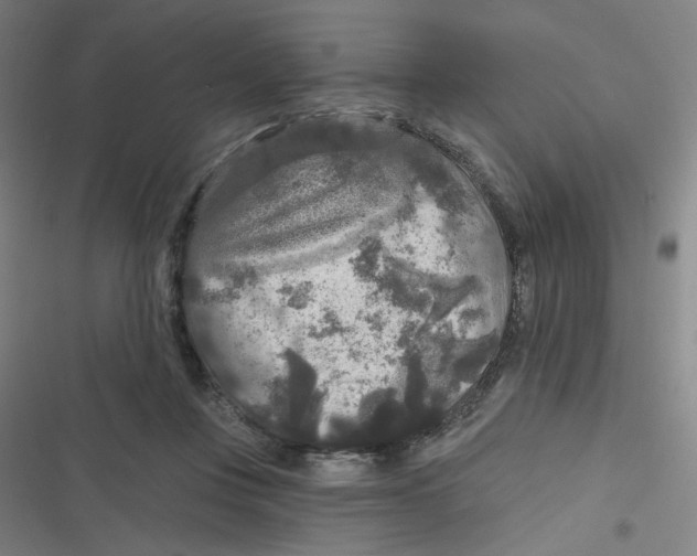 X0000116790359201001081318