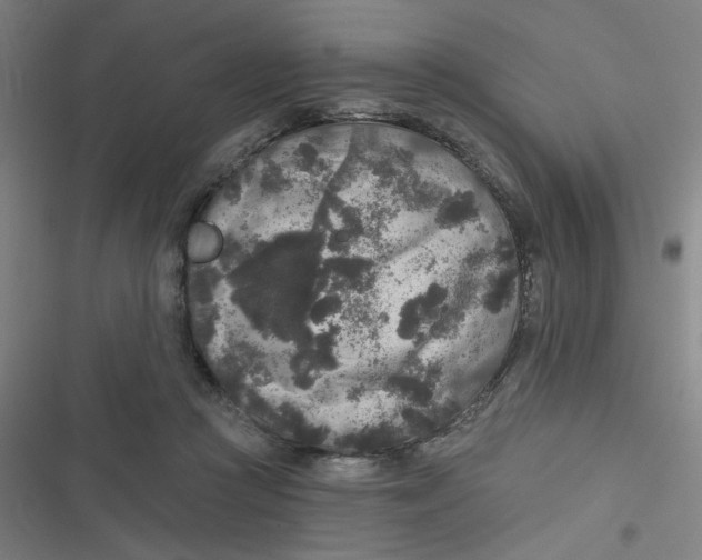 X0000116790361201001081318