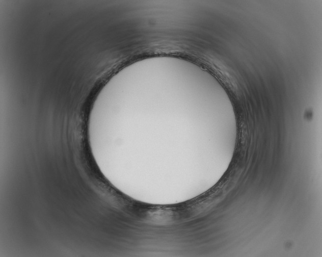 X0000116790362201001081318