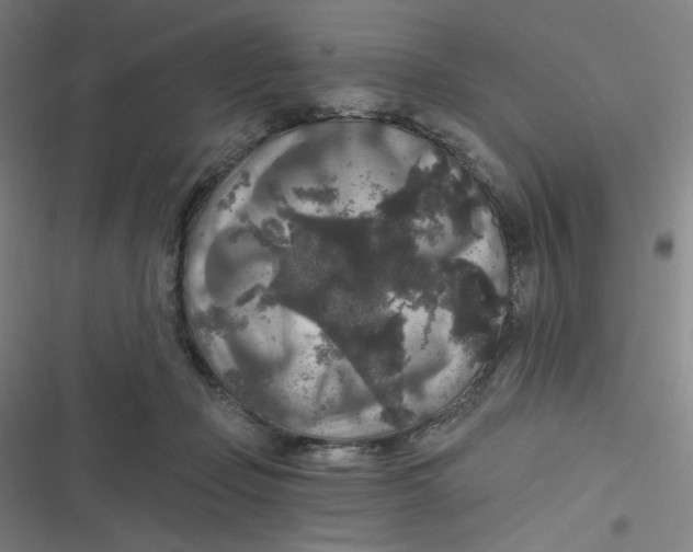 X0000116790365201001081318