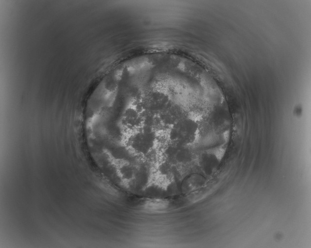 X0000116790369201001081318