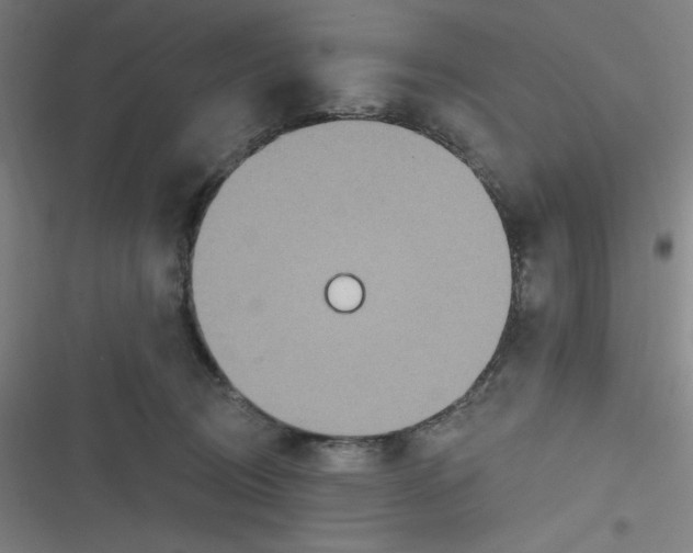 X0000116790370201001081318