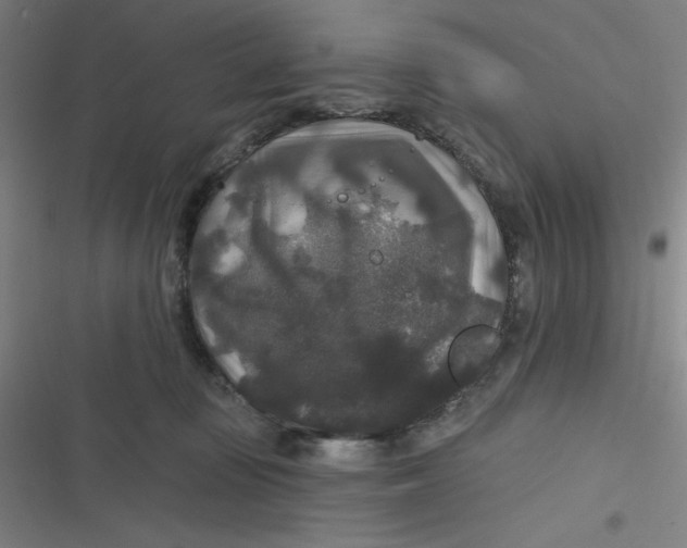 X0000116790371201001081318