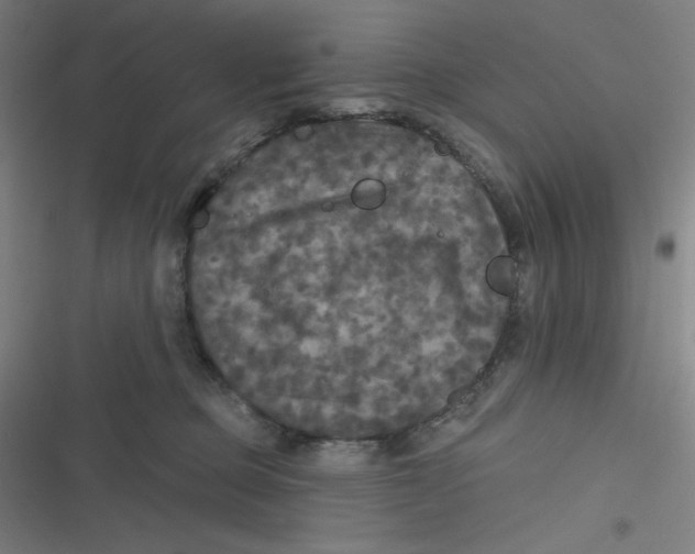 X0000116790373201001081318