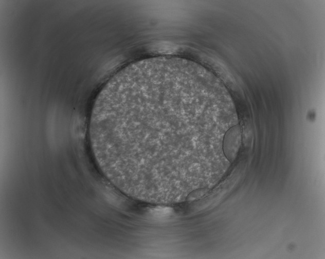 X0000116790374201001081318