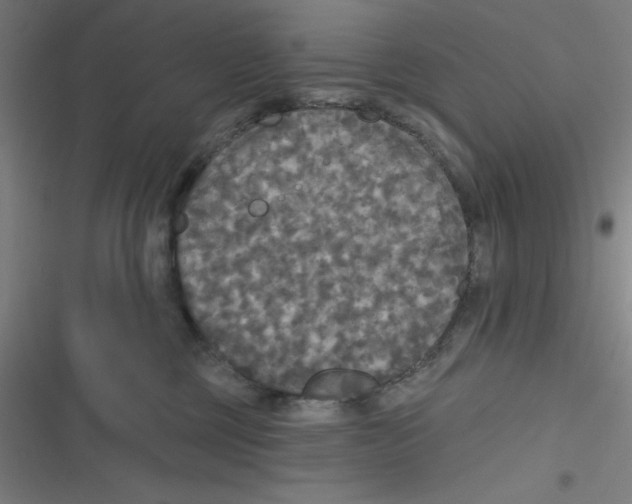 X0000116790377201001081318