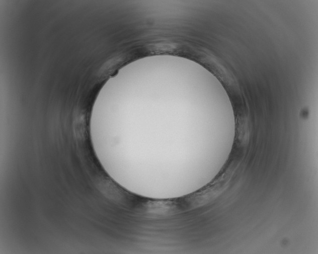 X0000116790378201001081318