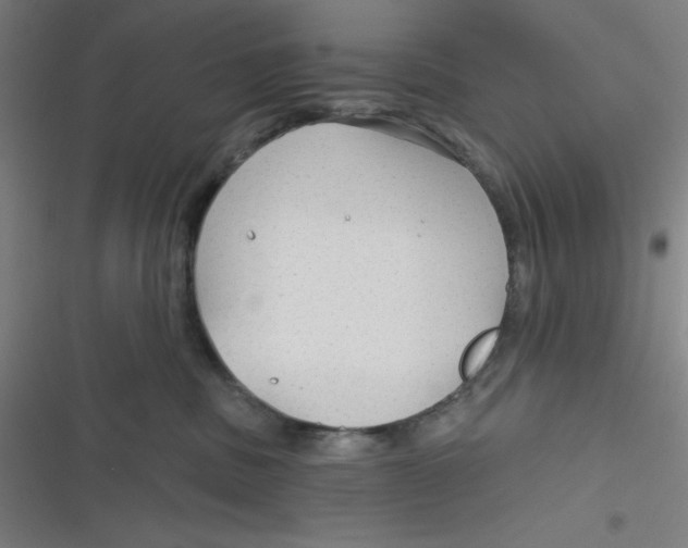 X0000116790379201001081318