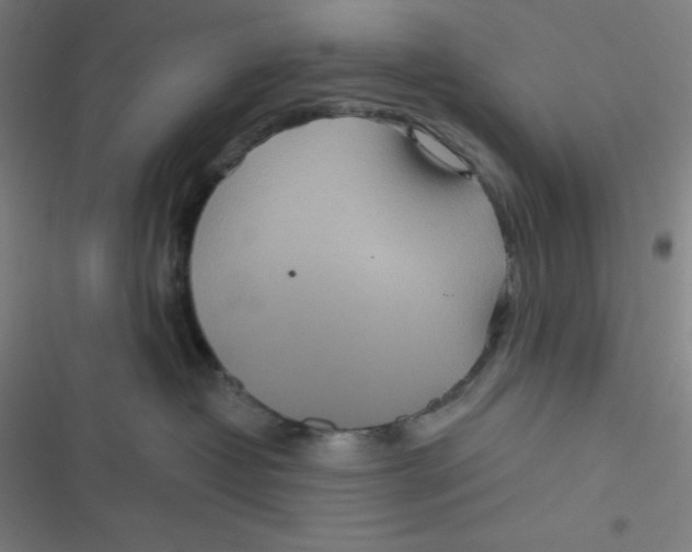 X0000116790382201001081318